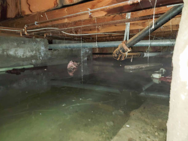 Best Water damage restoration services  in North Windham, ME