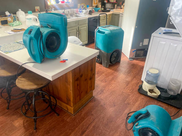 Best 24-hour water damage restoration  in North Windham, ME