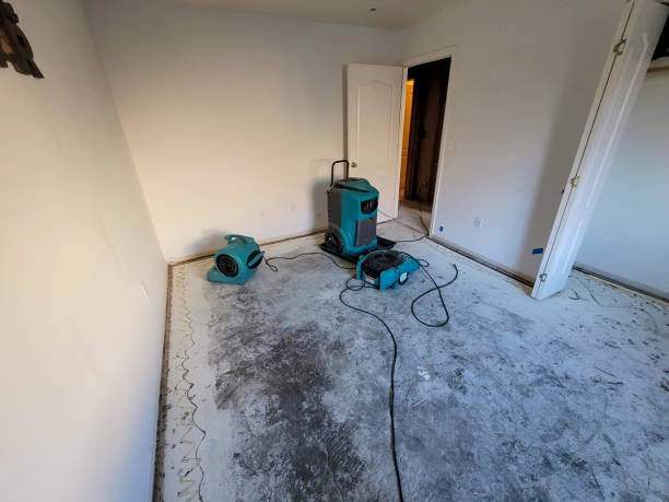 Carpet water damage restoration in North Windham, ME