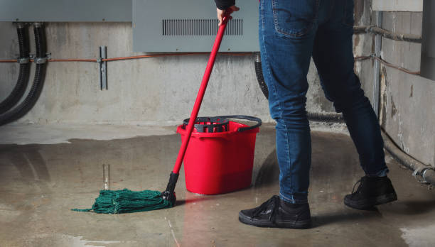 Best Water damage contractors near me  in North Windham, ME