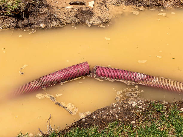 Best Mold removal after water damage  in North Windham, ME